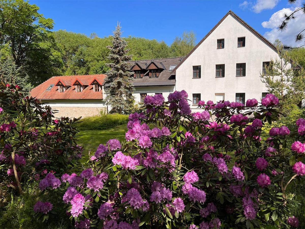 Apartmany Na Mlyne Нове-Место-на-Мораве Экстерьер фото